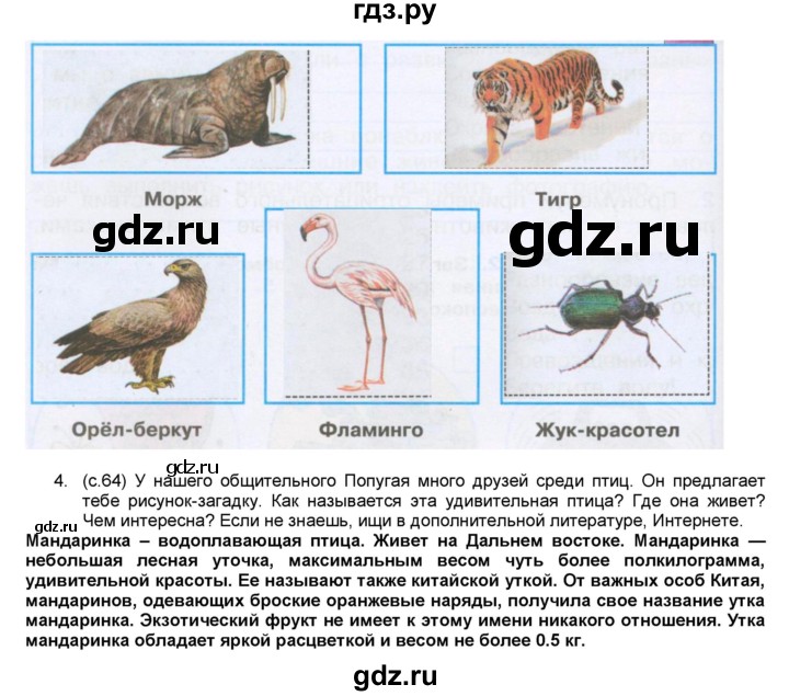 ГДЗ по окружающему миру 3 класс  Плешаков рабочая тетрадь  часть 1. страница - 64, Решебник к тетради 2017
