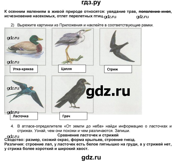 Атлас определитель ласточки