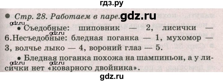 ГДЗ по окружающему миру 2 класс  Плешаков   часть 2 (страница) - 28, Решебник №2 к учебнику 2017