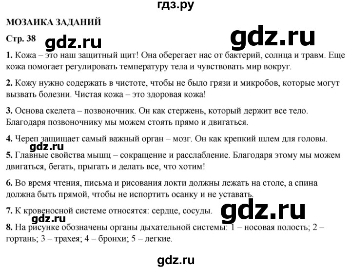 ГДЗ по окружающему миру 3 класс Потапов   часть 2. страница - 38, Решебник 2023