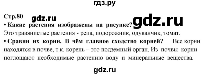 ГДЗ по окружающему миру 3 класс Потапов   часть 1. страница - 80, Решебник 2015