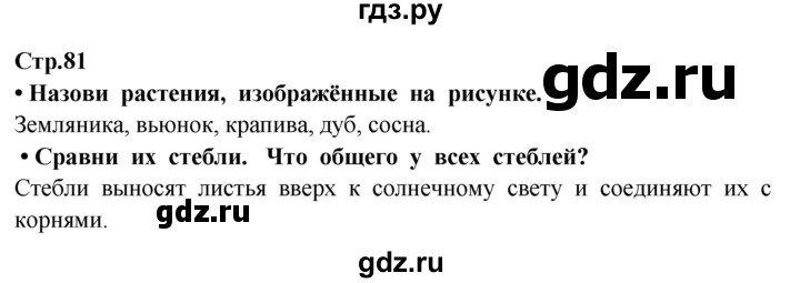 ГДЗ по окружающему миру 3 класс Потапов   часть 1. страница - 81, Решебник 2015