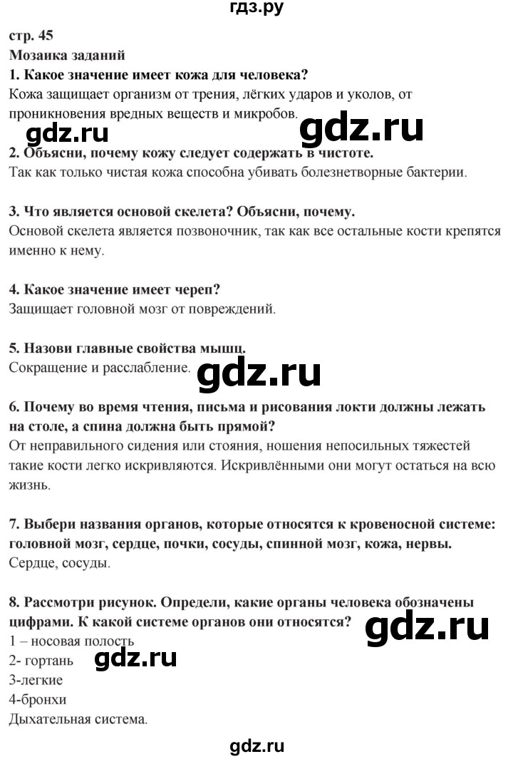 ГДЗ по окружающему миру 3 класс Потапов   часть 2. страница - 45, Решебник 2015