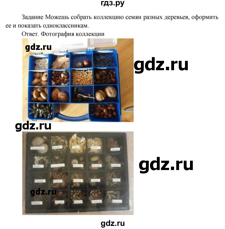ГДЗ по окружающему миру 3 класс  Поглазова   часть 1. страница - 136, Решебник 2014