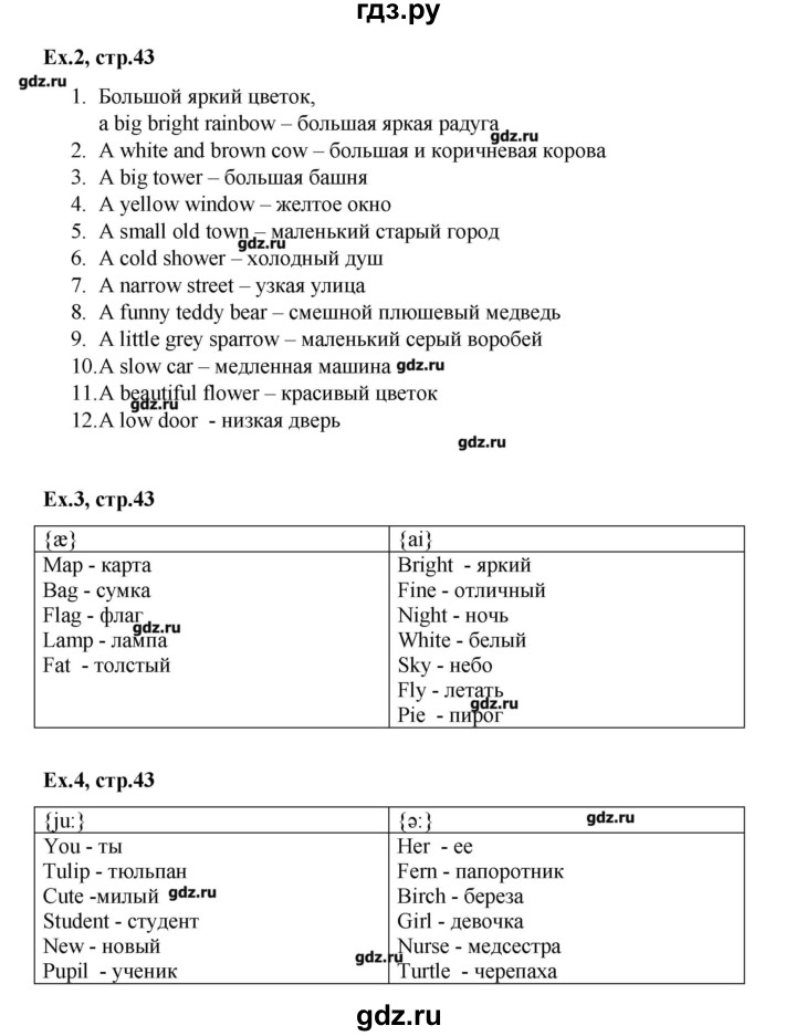 ГДЗ по английскому языку 3 класс Афанасьева лексико-грамматический практикум rainbow   страница - 43, Решебник №1