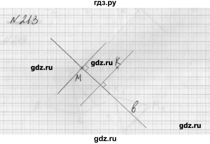 ГДЗ по математике 6 класс Мерзляк дидактические материалы  вариант 3 - 213, Решебник №1