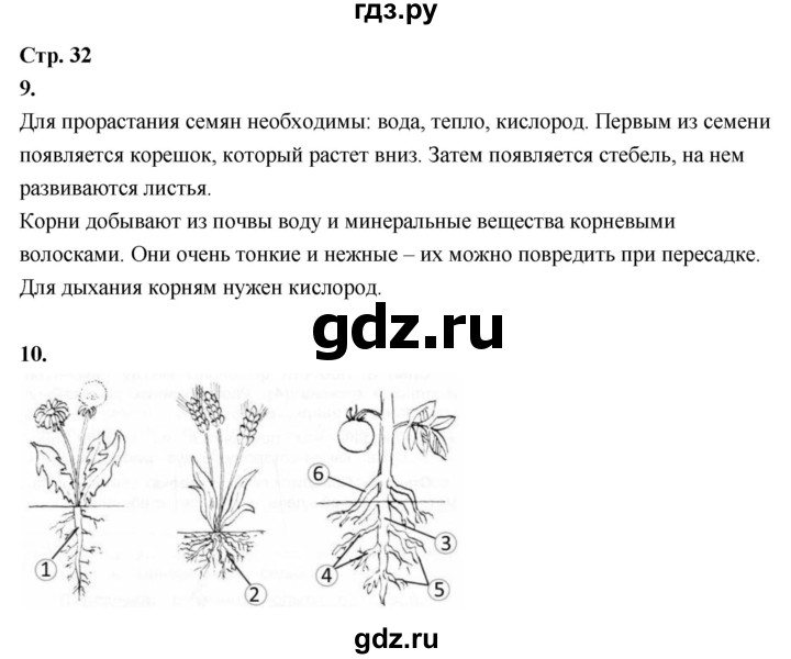 ГДЗ по окружающему миру 3 класс  Поглазова рабочая тетрадь  часть 1. страница - 32, Решебник 2024