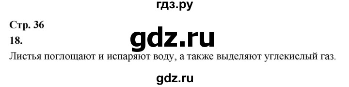 ГДЗ по окружающему миру 3 класс  Поглазова рабочая тетрадь  часть 1. страница - 36, Решебник 2024