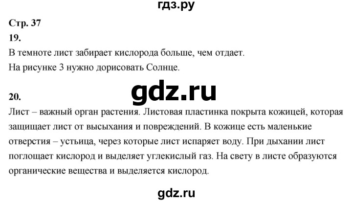 ГДЗ по окружающему миру 3 класс  Поглазова рабочая тетрадь  часть 1. страница - 37, Решебник 2024