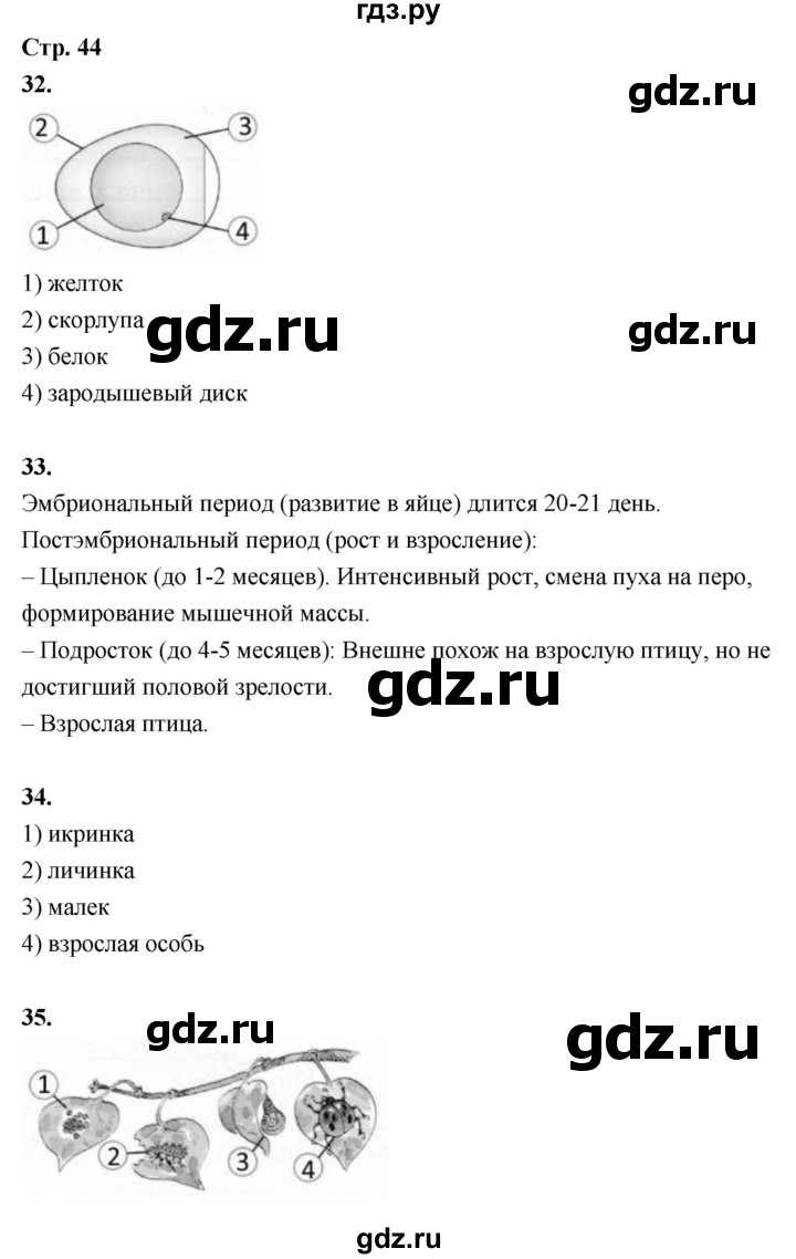 ГДЗ по окружающему миру 3 класс  Поглазова рабочая тетрадь  часть 1. страница - 44, Решебник 2024