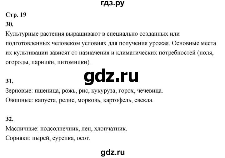 ГДЗ по окружающему миру 3 класс  Поглазова рабочая тетрадь  часть 2. страница - 19, Решебник 2024
