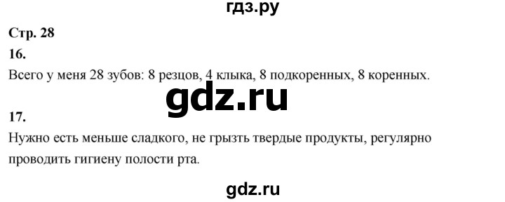 ГДЗ по окружающему миру 3 класс  Поглазова рабочая тетрадь  часть 2. страница - 28, Решебник 2024