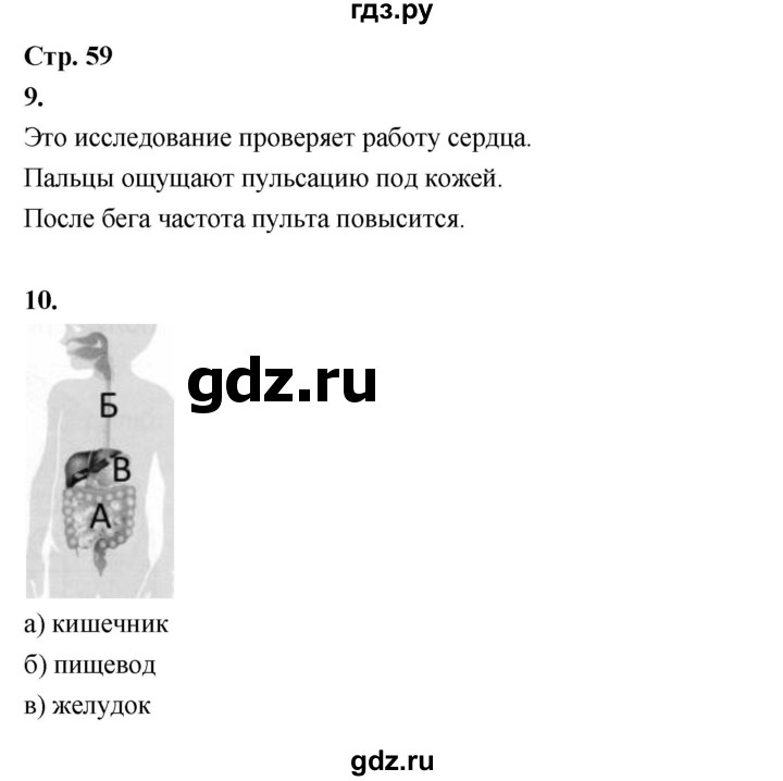ГДЗ по окружающему миру 3 класс  Поглазова рабочая тетрадь  часть 2. страница - 55, Решебник 2024