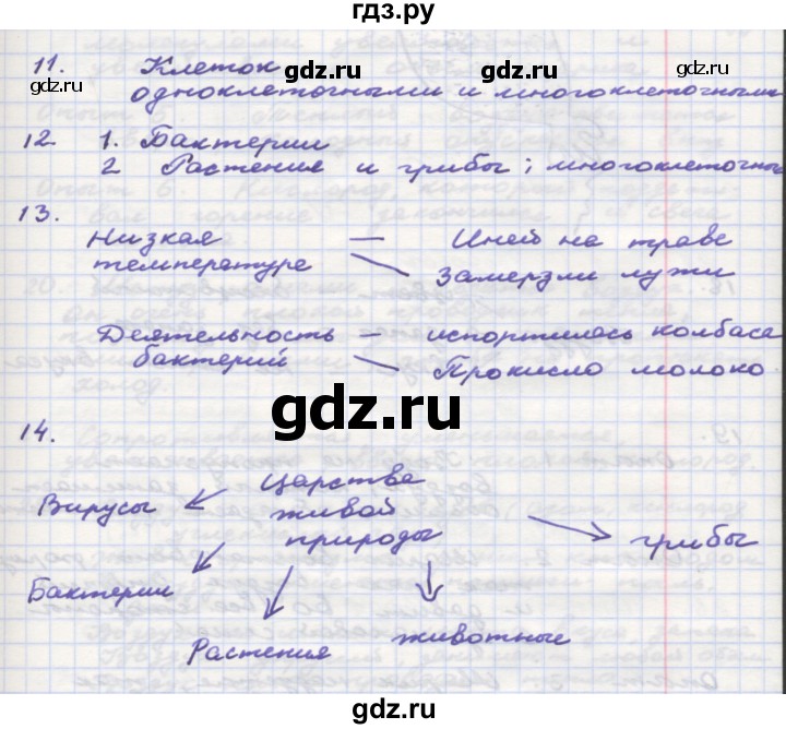 ГДЗ по окружающему миру 3 класс  Поглазова рабочая тетрадь  часть 1. страница - 25, Решебник 2016