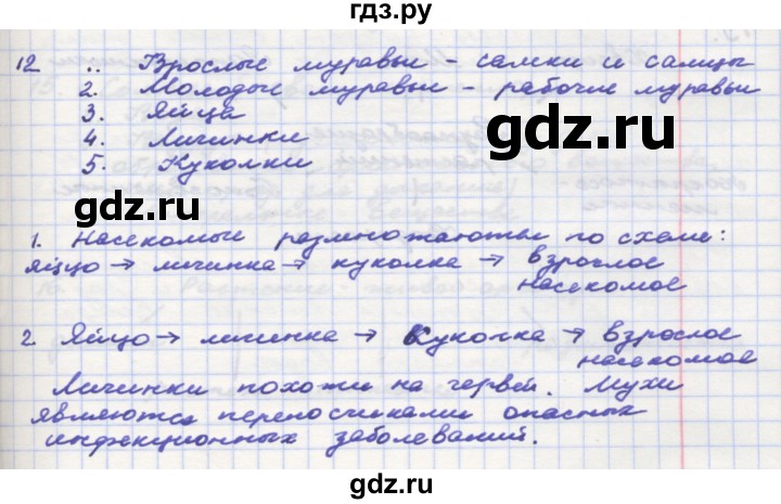ГДЗ по окружающему миру 3 класс  Поглазова рабочая тетрадь  часть 2. страница - 23, Решебник 2016