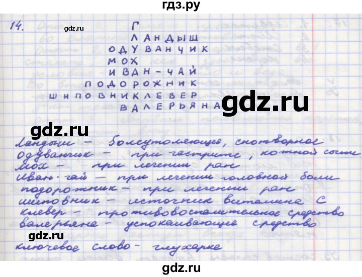 ГДЗ по окружающему миру 3 класс  Поглазова рабочая тетрадь  часть 2. страница - 24, Решебник 2016