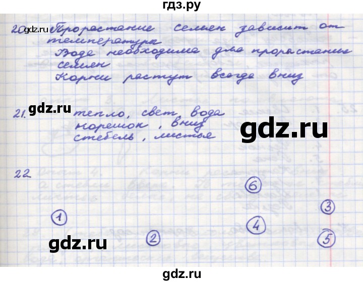 ГДЗ по окружающему миру 3 класс  Поглазова рабочая тетрадь  часть 2. страница - 29, Решебник 2016