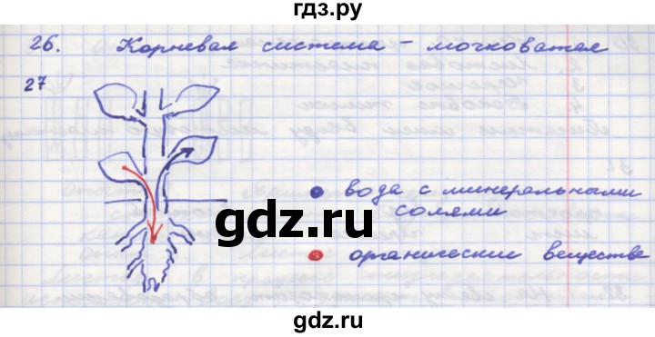 ГДЗ по окружающему миру 3 класс  Поглазова рабочая тетрадь  часть 2. страница - 31, Решебник 2016