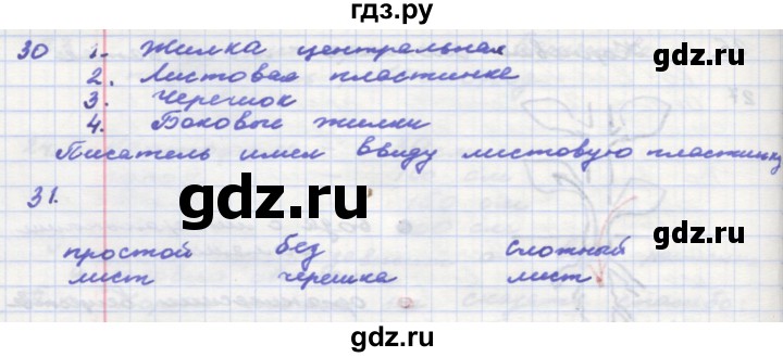 ГДЗ по окружающему миру 3 класс  Поглазова рабочая тетрадь  часть 2. страница - 33, Решебник 2016