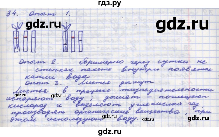 ГДЗ по окружающему миру 3 класс  Поглазова рабочая тетрадь  часть 2. страница - 35, Решебник 2016