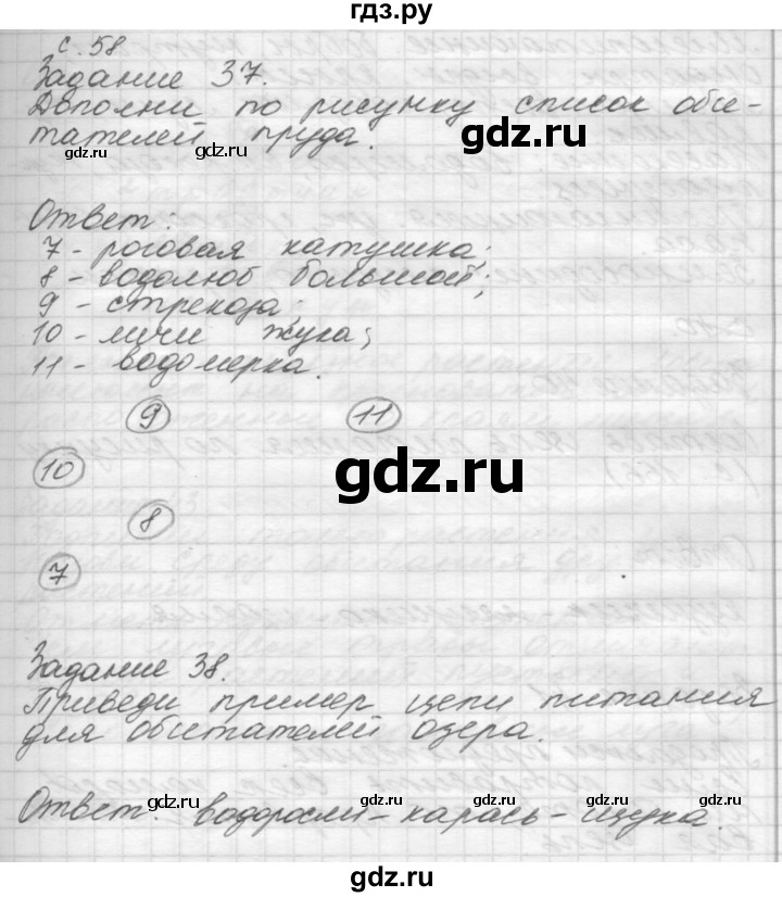 ГДЗ по окружающему миру 4 класс  Поглазова рабочая тетрадь  часть 1. страница - 58, Решебник 2016