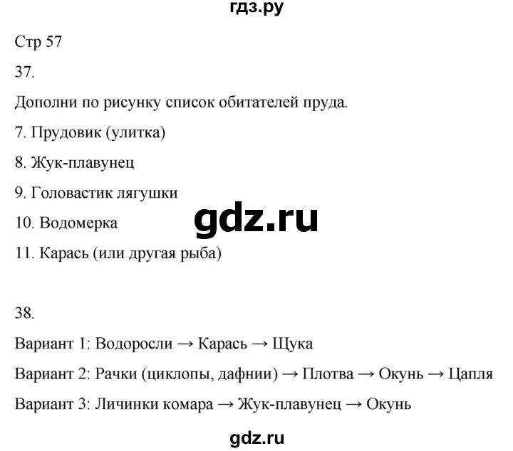 ГДЗ по окружающему миру 4 класс  Поглазова рабочая тетрадь  часть 1. страница - 57, Решебник 2022