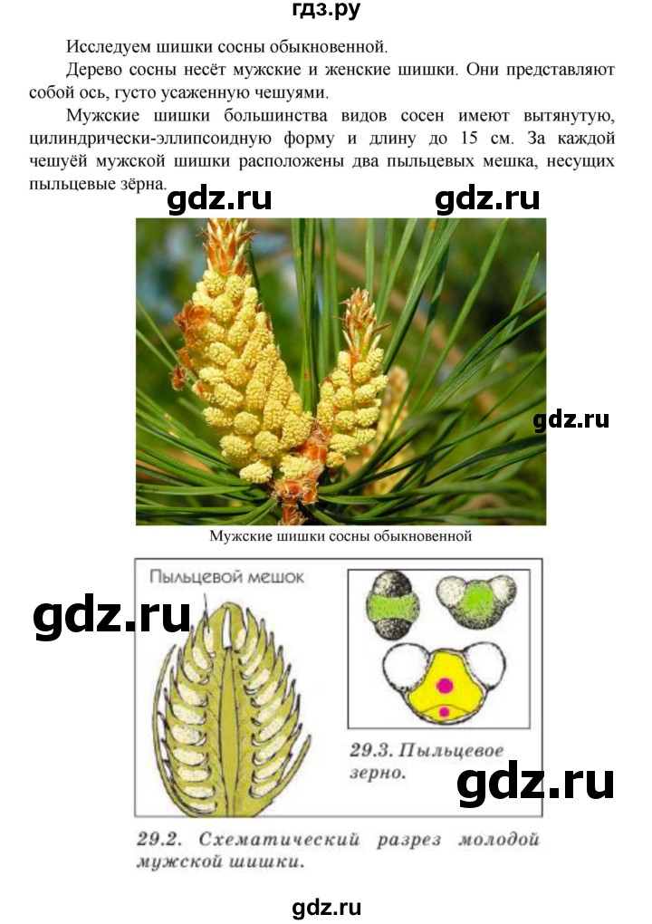 ГДЗ по биологии 5 класс Ловягин   параграф - § 29, Решебник №1