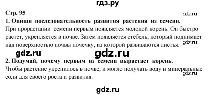 ГДЗ по окружающему миру 3 класс  Потапов   часть 1 Ивченкова (страница) - 95, Решебник