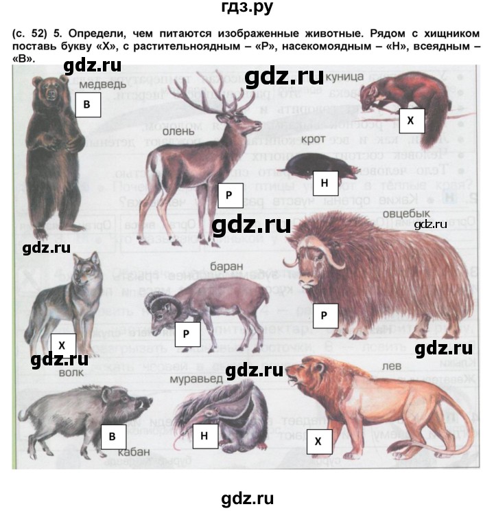 ГДЗ по окружающему миру 3 класс Вахрушев рабочая тетрадь  часть 1 (страница) - 52, Решебник