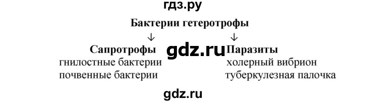 ГДЗ по биологии 6 класс Сухова   страница - 21, решебник