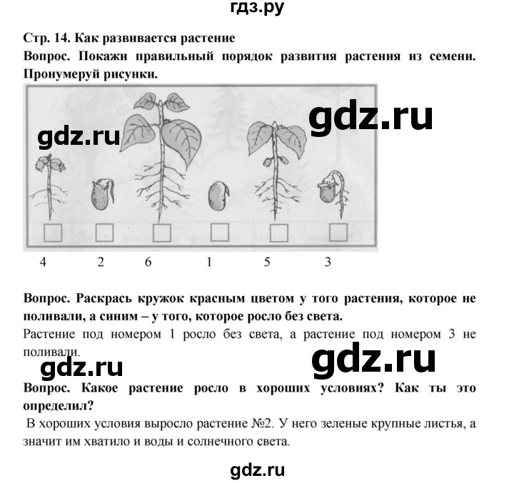 ГДЗ по окружающему миру 1 класс Ивченкова рабочая тетрадь  часть 2. страница - 14, Решебник 2017