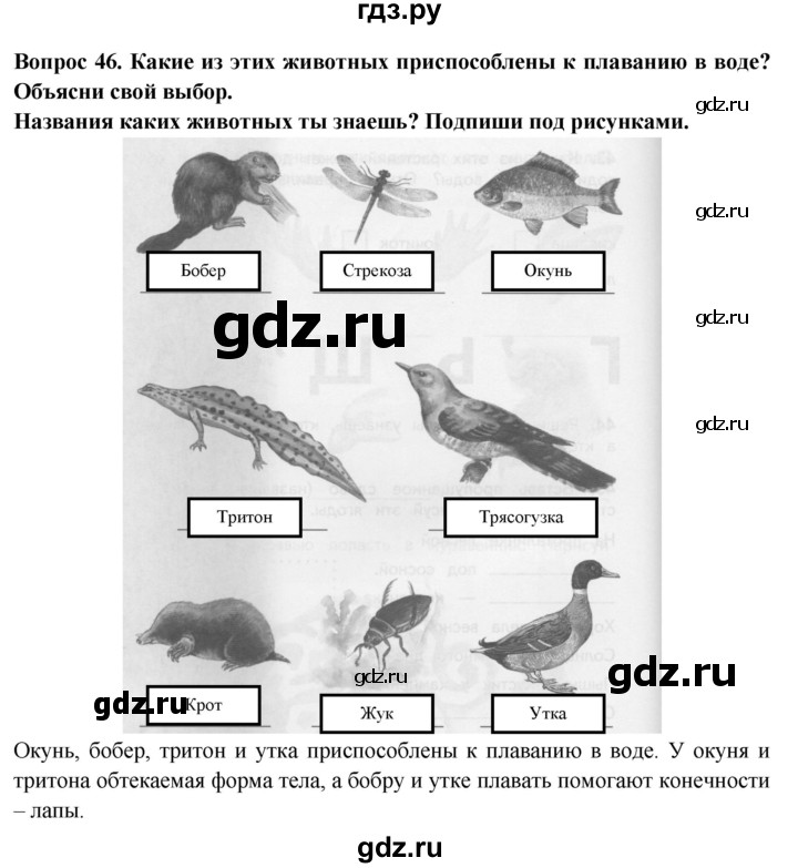 ГДЗ по окружающему миру 2 класс Ивченкова рабочая тетрадь  тетрадь №2. страница - 26, Решебник 2017