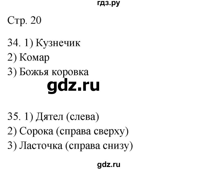 ГДЗ по окружающему миру 2 класс Ивченкова рабочая тетрадь  тетрадь №2. страница - 20, Решебник 2023
