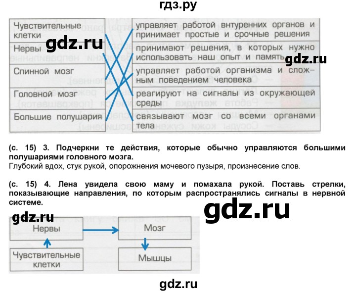 ГДЗ по окружающему миру 4 класс Вахрушев рабочая тетрадь  часть 1 Вахрушев (страница) - 15, Решебник №1