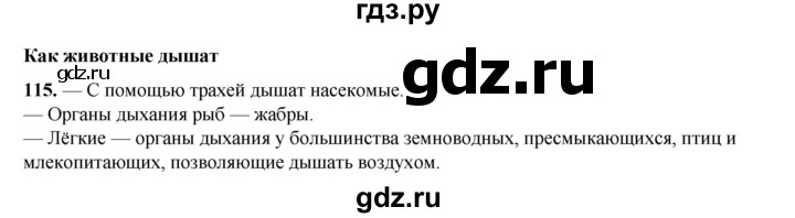 ГДЗ по окружающему миру 3 класс Потапов рабочая тетрадь  часть 1. задание - 115, Решебник 2023
