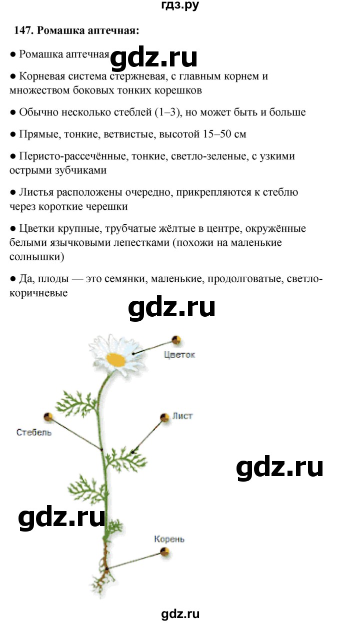 ГДЗ по окружающему миру 3 класс Потапов рабочая тетрадь  часть 1. задание - 147, Решебник 2023