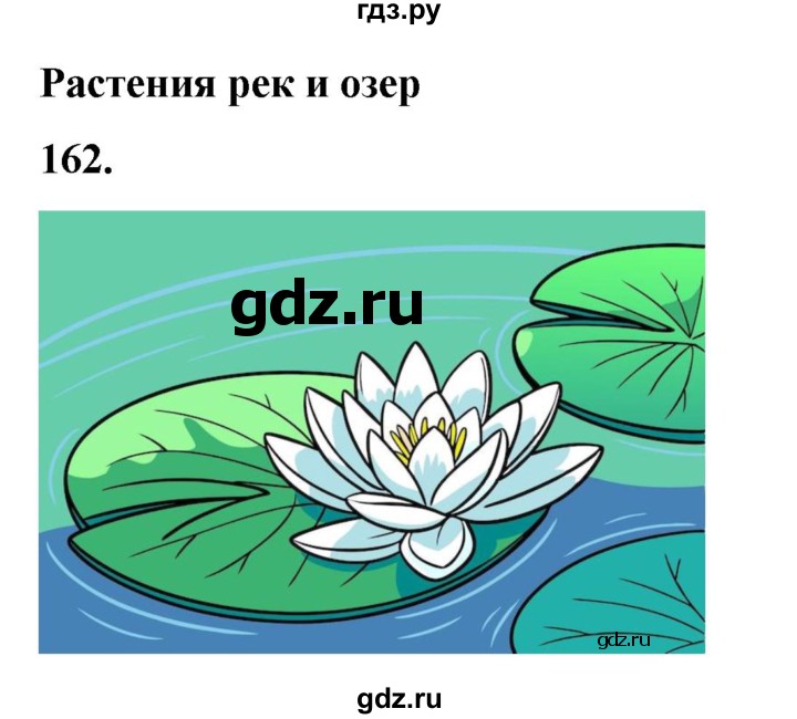 ГДЗ по окружающему миру 3 класс Потапов рабочая тетрадь  часть 1. задание - 162, Решебник 2023