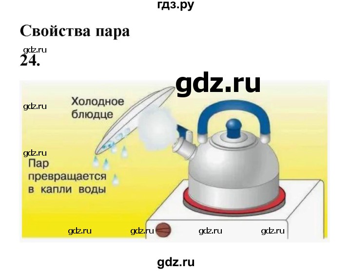 ГДЗ по окружающему миру 3 класс Потапов рабочая тетрадь  часть 1. задание - 24, Решебник 2023