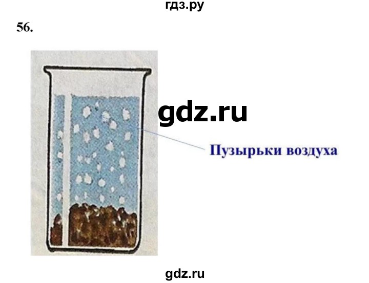 ГДЗ по окружающему миру 3 класс Потапов рабочая тетрадь  часть 1. задание - 56, Решебник 2023