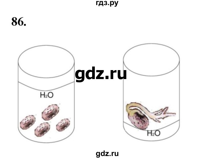 ГДЗ по окружающему миру 3 класс Потапов рабочая тетрадь  часть 1. задание - 86, Решебник 2023