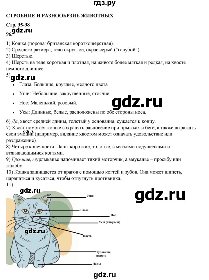 ГДЗ по окружающему миру 3 класс Потапов рабочая тетрадь  часть 1. задание - 96, Решебник 2023