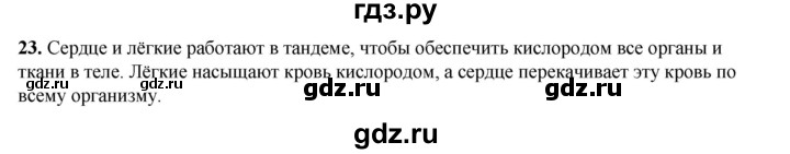 ГДЗ по окружающему миру 3 класс Потапов рабочая тетрадь  часть 2. задание - 23, Решебник 2023