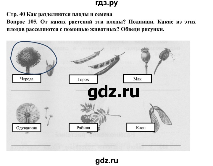 ГДЗ по окружающему миру 3 класс Потапов рабочая тетрадь  часть 1. задание - 105, Решебник 2018