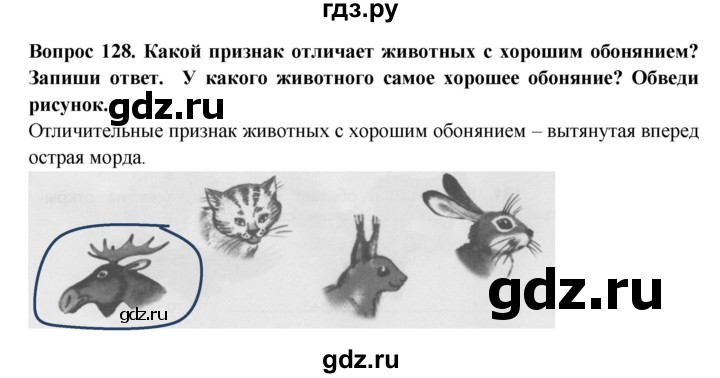 ГДЗ по окружающему миру 3 класс Потапов рабочая тетрадь  часть 1. задание - 128, Решебник 2018