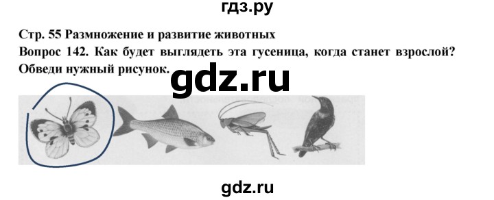 ГДЗ по окружающему миру 3 класс Потапов рабочая тетрадь  часть 1. задание - 142, Решебник 2018