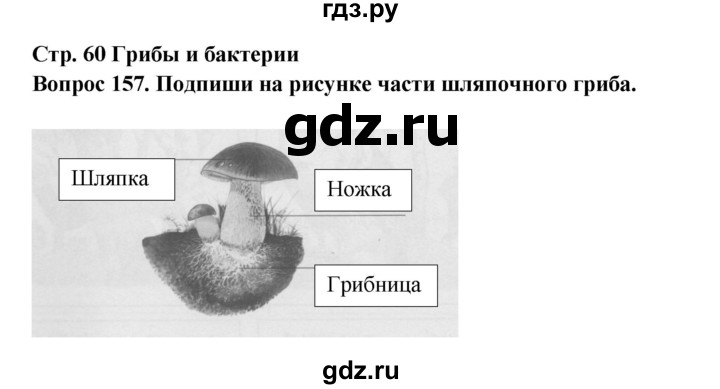 ГДЗ по окружающему миру 3 класс Потапов рабочая тетрадь  часть 1. задание - 157, Решебник 2018