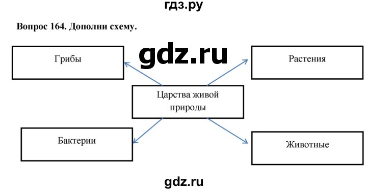 ГДЗ по окружающему миру 3 класс Потапов рабочая тетрадь  часть 1. задание - 164, Решебник 2018