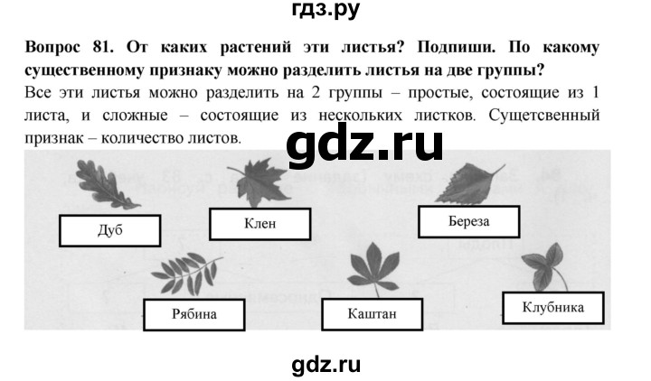 ГДЗ по окружающему миру 3 класс Потапов рабочая тетрадь  часть 1. задание - 81, Решебник 2018