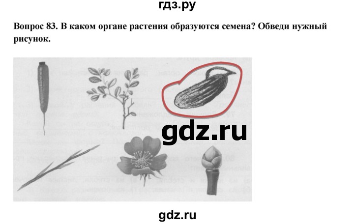 ГДЗ по окружающему миру 3 класс Потапов рабочая тетрадь  часть 1. задание - 83, Решебник 2018