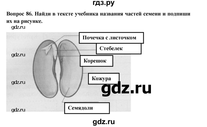 ГДЗ по окружающему миру 3 класс Потапов рабочая тетрадь  часть 1. задание - 86, Решебник 2018